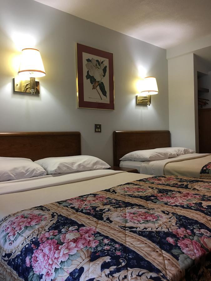 Barberry Court Motel &Cabins 乔治湖 外观 照片